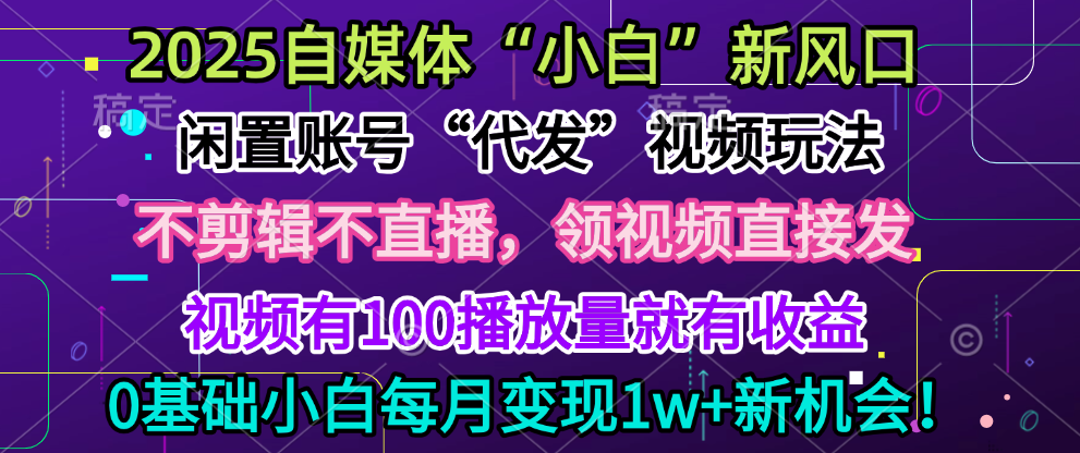 2025每月躺赚5w+新机会，闲置视频账号一键代发玩法，0粉不实名不剪辑，领了视频直接发，0基础小白也能日入300+-秘源志