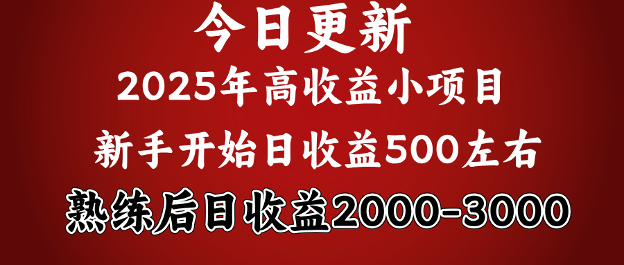 2025开年好项目，新手日收益500+ 熟练掌握后，日收益平均2000多-秘源志