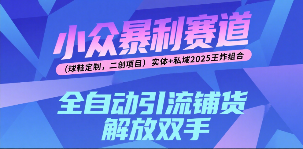 楠—小众暴利赛道（球鞋定制，二创项目）实体+私域2025王炸组合-秘源志